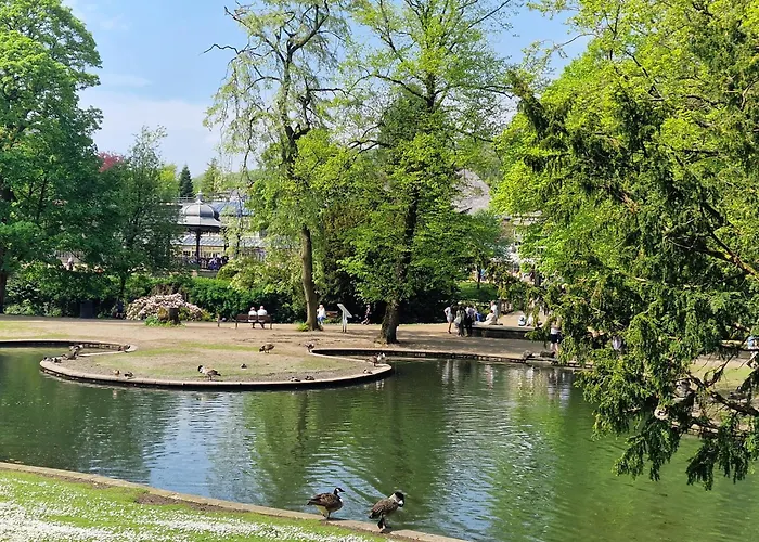 Spring View Apartment